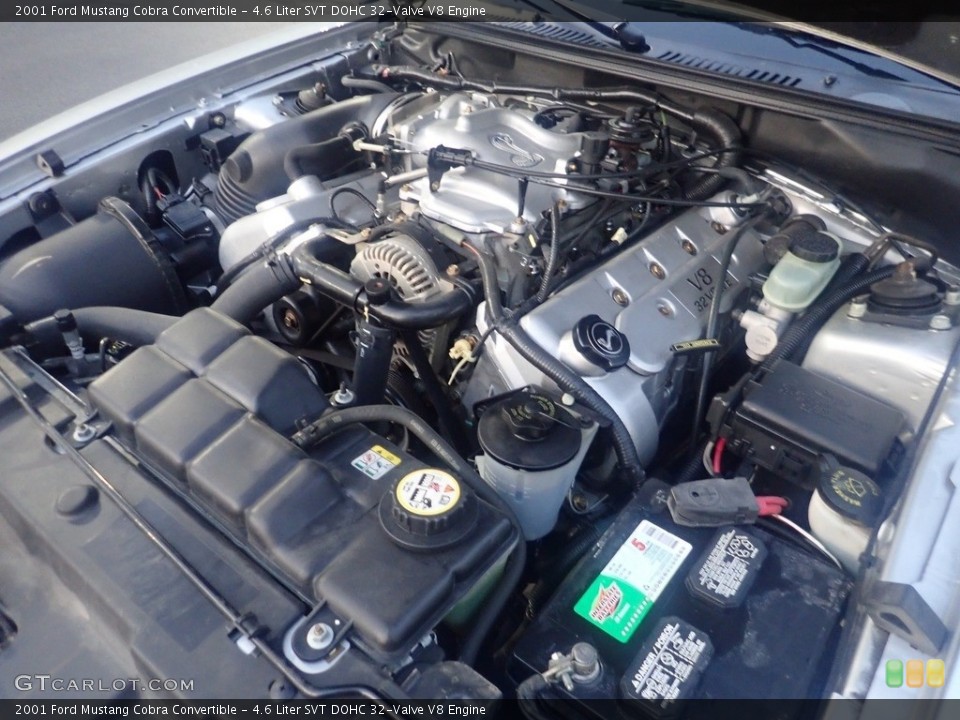 4.6 Liter SVT DOHC 32-Valve V8 2001 Ford Mustang Engine