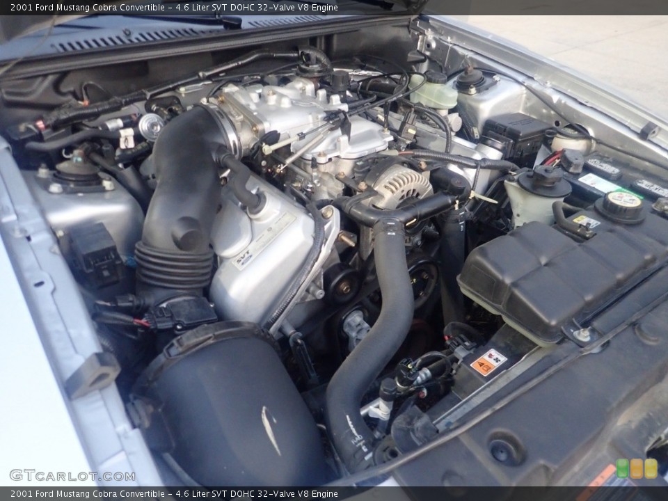 4.6 Liter SVT DOHC 32-Valve V8 Engine for the 2001 Ford Mustang #146572031