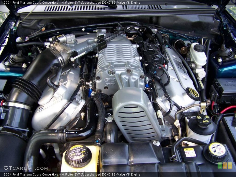 4.6 Liter SVT Supercharged DOHC 32-Valve V8 Engine for the 2004 Ford Mustang #15439987