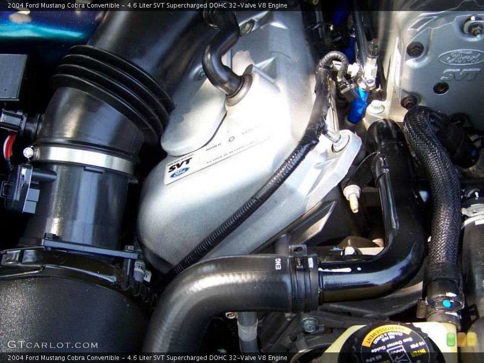 4.6 Liter SVT Supercharged DOHC 32-Valve V8 Engine for the 2004 Ford Mustang #15439999