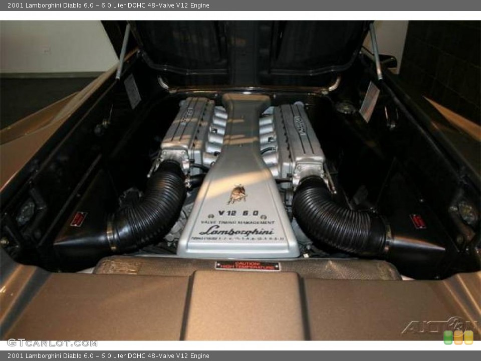 6.0 Liter DOHC 48-Valve V12 Engine for the 2001 Lamborghini Diablo #16340844