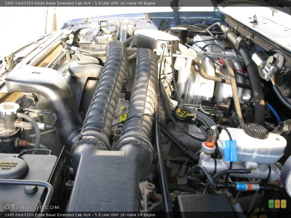 5.8 Liter OHV 16-Valve V8 Engine for the 1995 Ford F150 #16611528