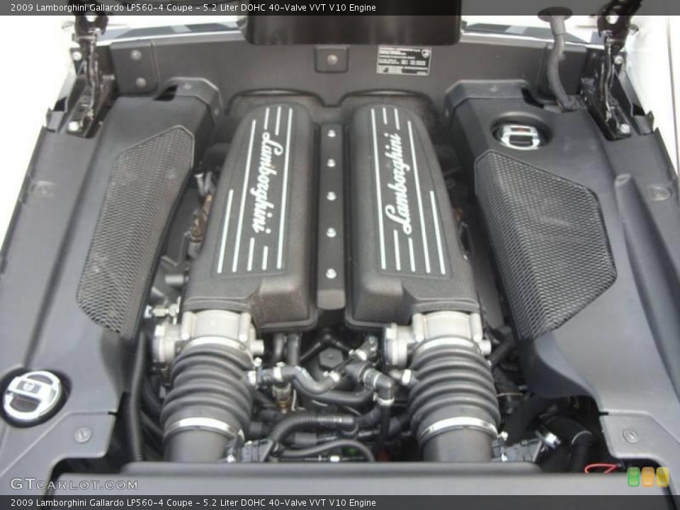5.2 Liter DOHC 40-Valve VVT V10 Engine for the 2009 Lamborghini Gallardo #17333992