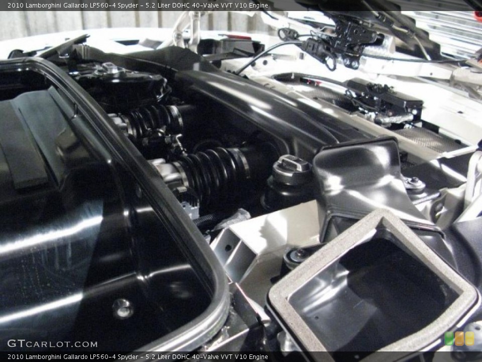 5.2 Liter DOHC 40-Valve VVT V10 Engine for the 2010 Lamborghini Gallardo #17993128
