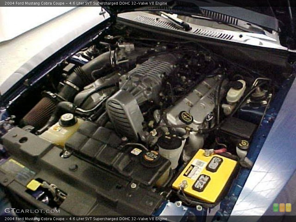 4.6 Liter SVT Supercharged DOHC 32-Valve V8 Engine for the 2004 Ford Mustang #20330291
