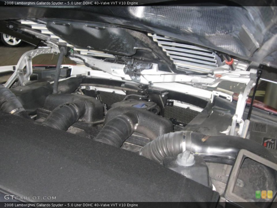 5.0 Liter DOHC 40-Valve VVT V10 Engine for the 2008 Lamborghini Gallardo #21112562