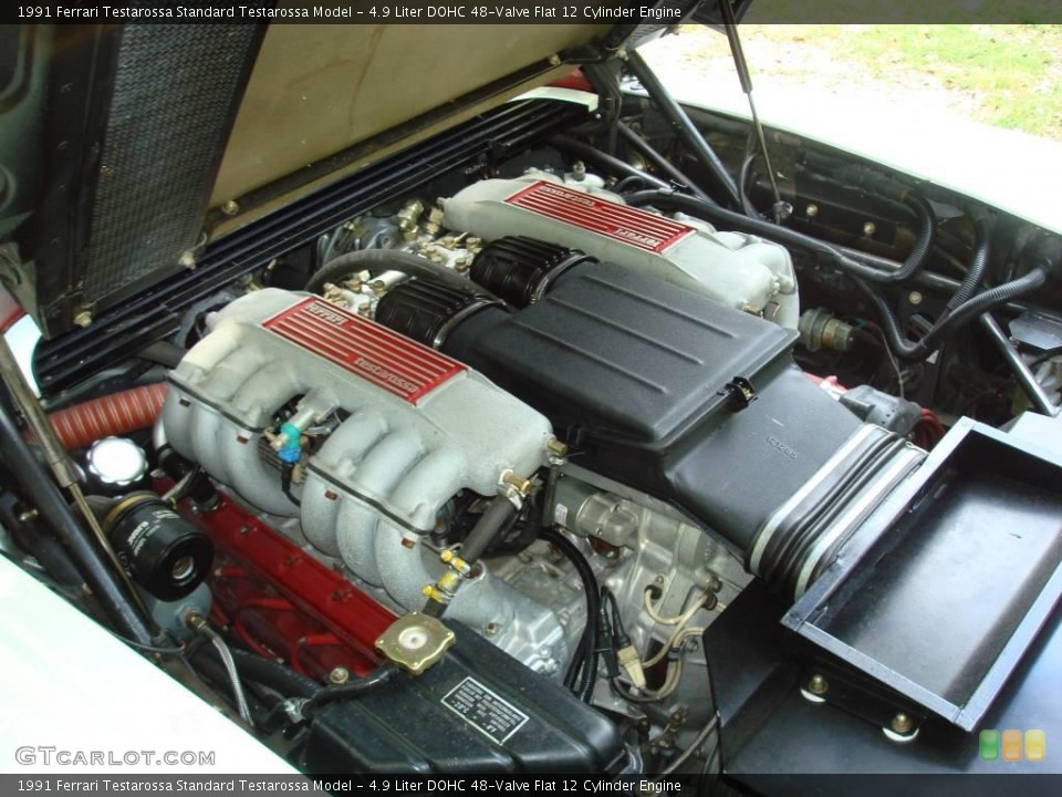 4.9 Liter DOHC 48-Valve Flat 12 Cylinder Engine for the 1991 Ferrari Testarossa #24443919