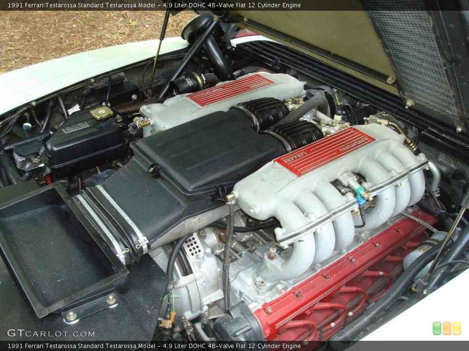 4.9 Liter DOHC 48-Valve Flat 12 Cylinder Engine for the 1991 Ferrari Testarossa #24443923
