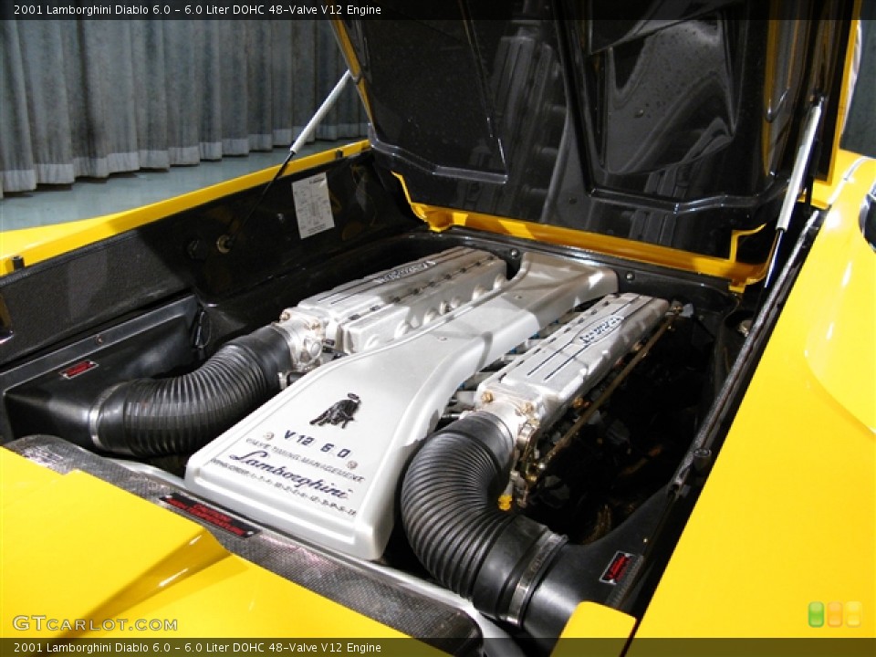 6.0 Liter DOHC 48-Valve V12 Engine for the 2001 Lamborghini Diablo #275324