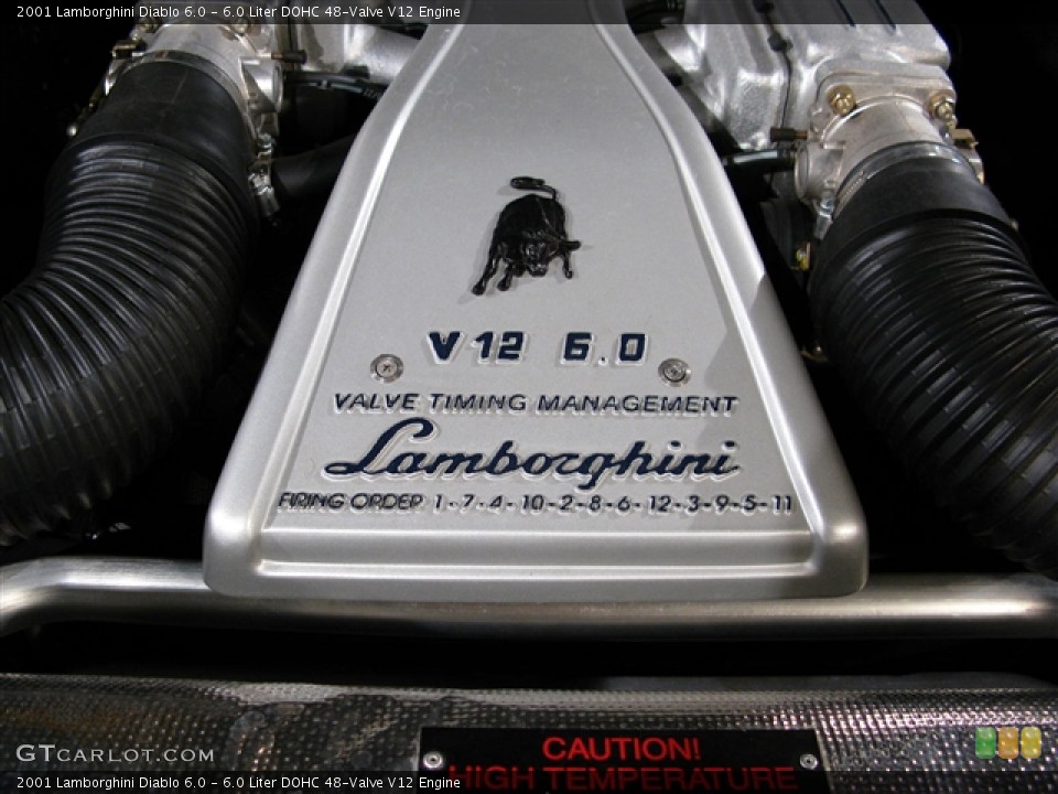 6.0 Liter DOHC 48-Valve V12 Engine for the 2001 Lamborghini Diablo #275338