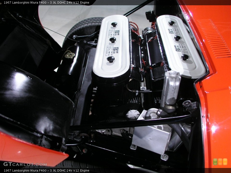 3.9L DOHC 24V V12 1967 Lamborghini Miura Engine