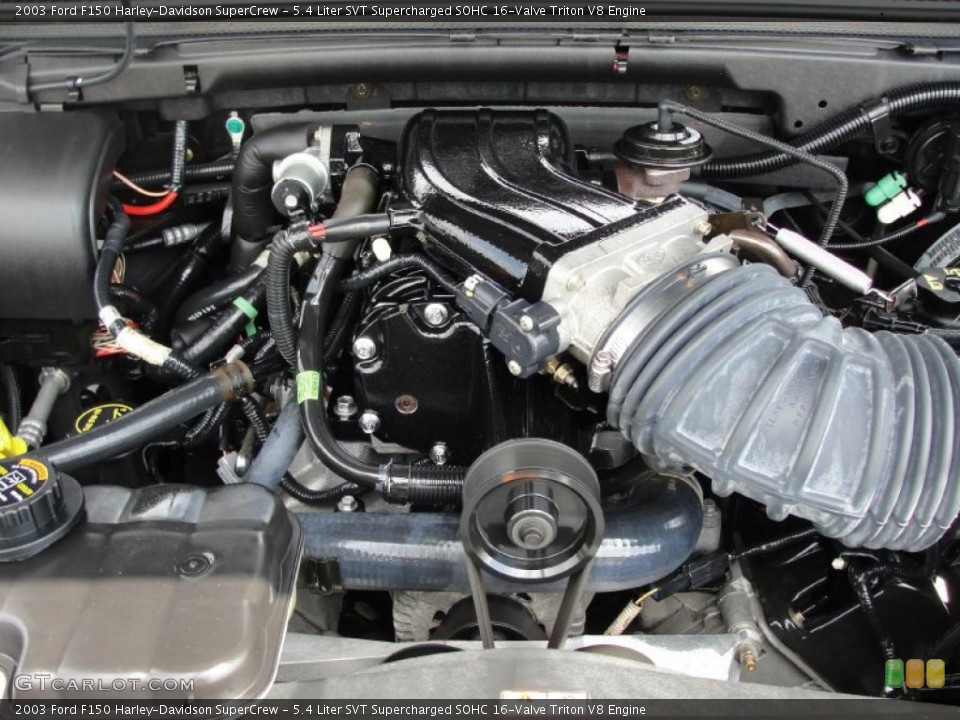 5.4 Liter SVT Supercharged SOHC 16-Valve Triton V8 Engine for the 2003 Ford F150 #28273186
