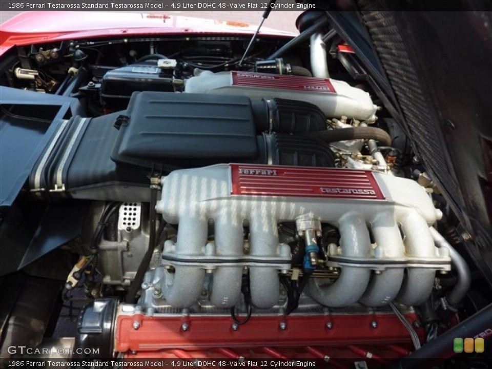 4.9 Liter DOHC 48-Valve Flat 12 Cylinder Engine for the 1986 Ferrari Testarossa #32857177