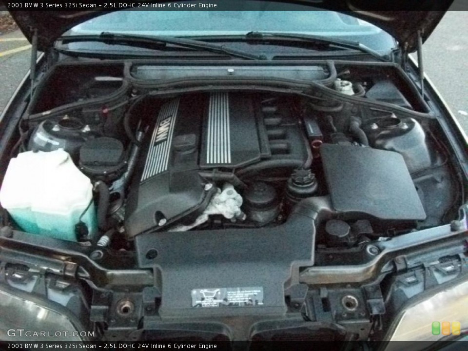 2.5L DOHC 24V Inline 6 Cylinder Engine for the 2001 BMW 3 Series #37884580