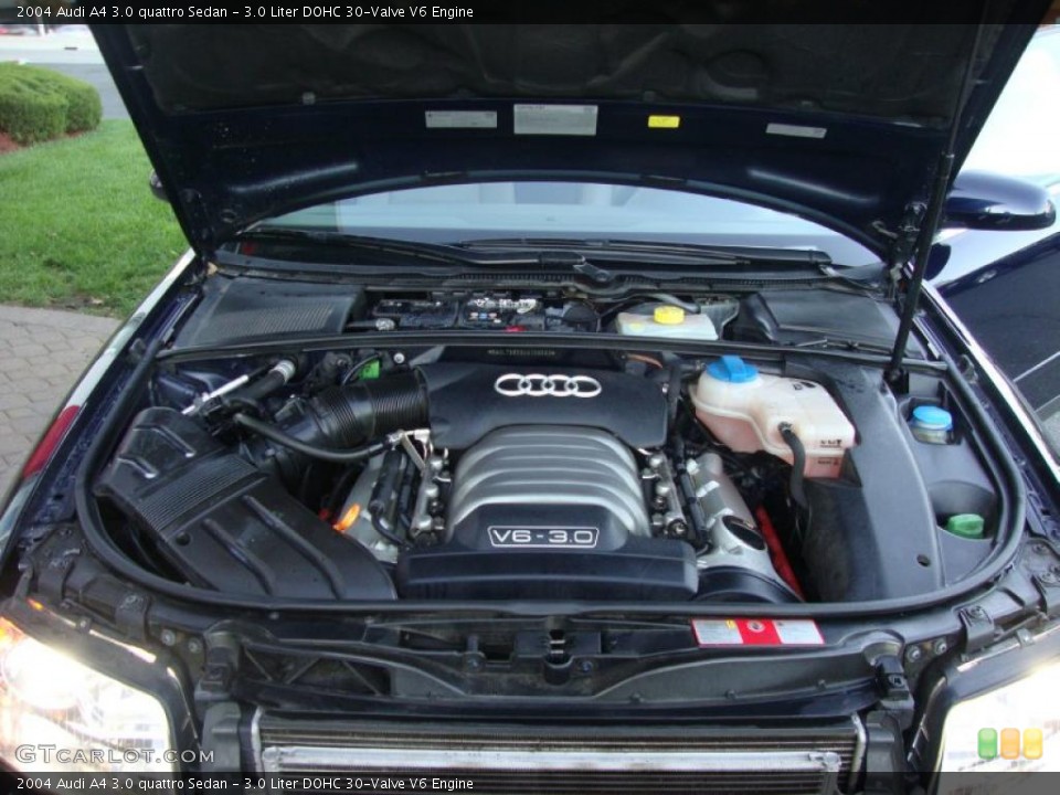 3.0 Liter DOHC 30-Valve V6 Engine for the 2004 Audi A4 #38031212