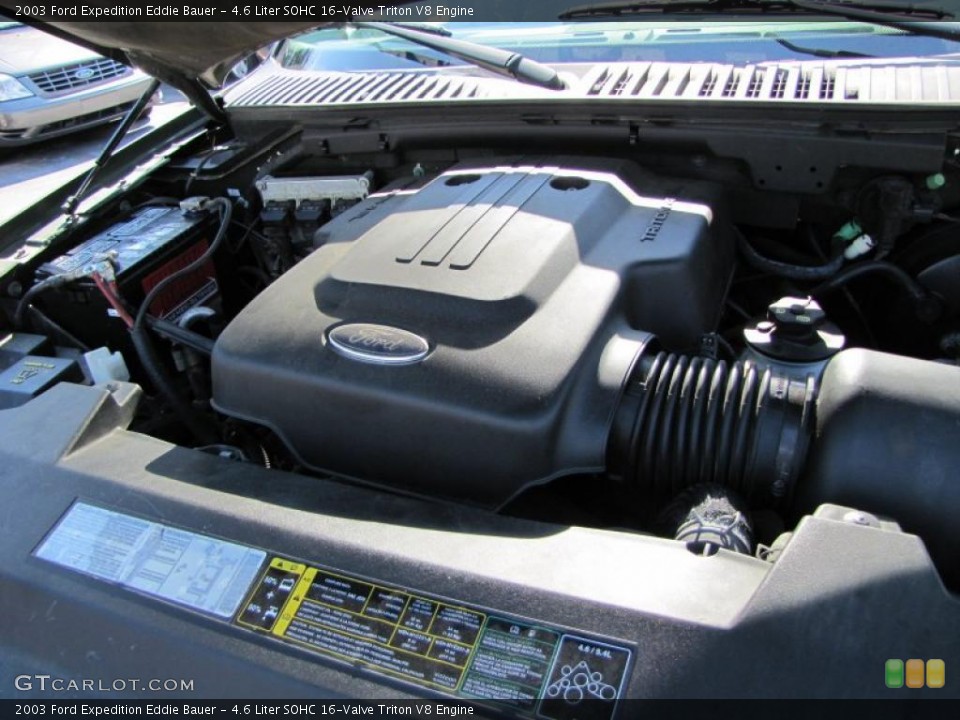 4.6 Liter SOHC 16-Valve Triton V8 Engine for the 2003 Ford Expedition #38404260