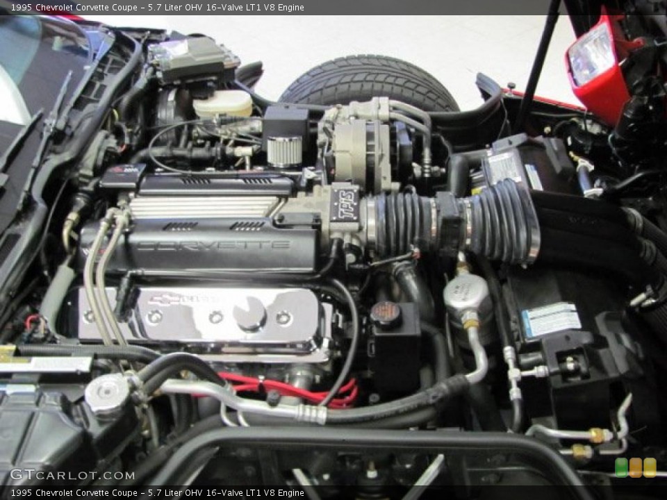 5.7 Liter OHV 16-Valve LT1 V8 Engine for the 1995 Chevrolet Corvette #38408196