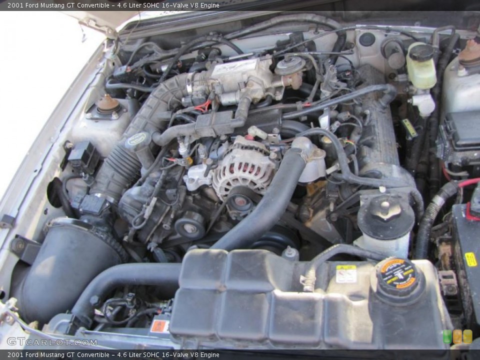 4.6 Liter SOHC 16-Valve V8 Engine for the 2001 Ford Mustang #38542067