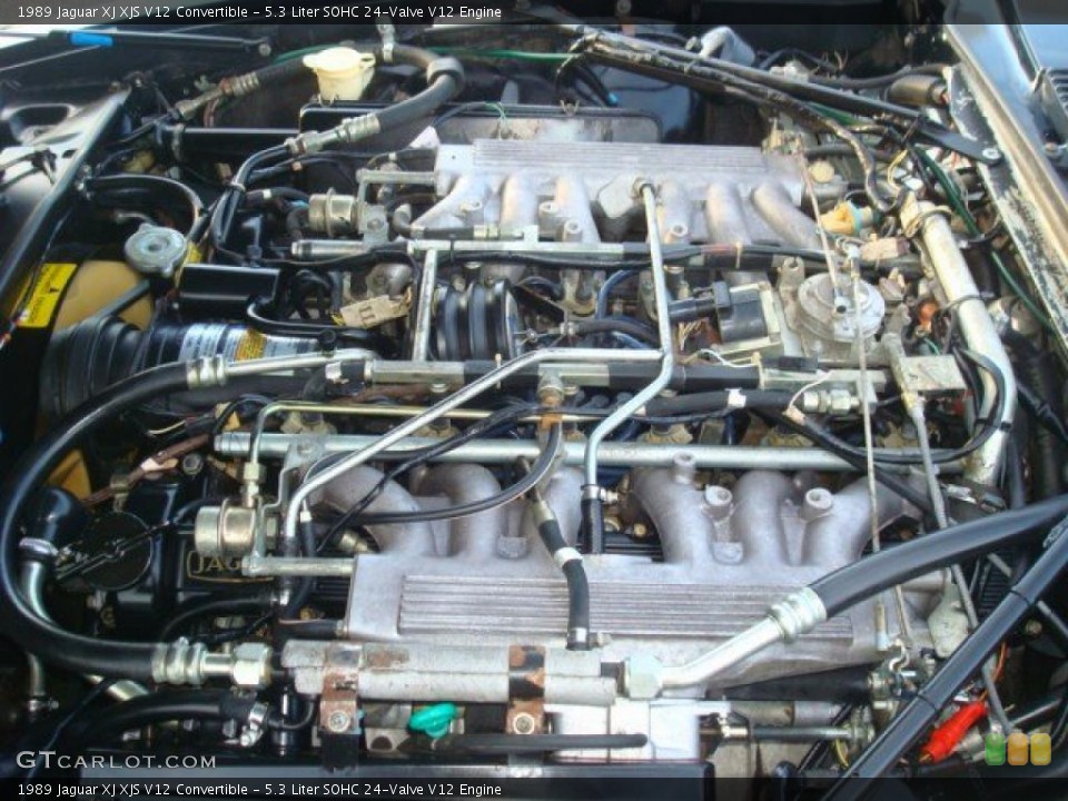 5.3 Liter SOHC 24-Valve V12 1989 Jaguar XJ Engine