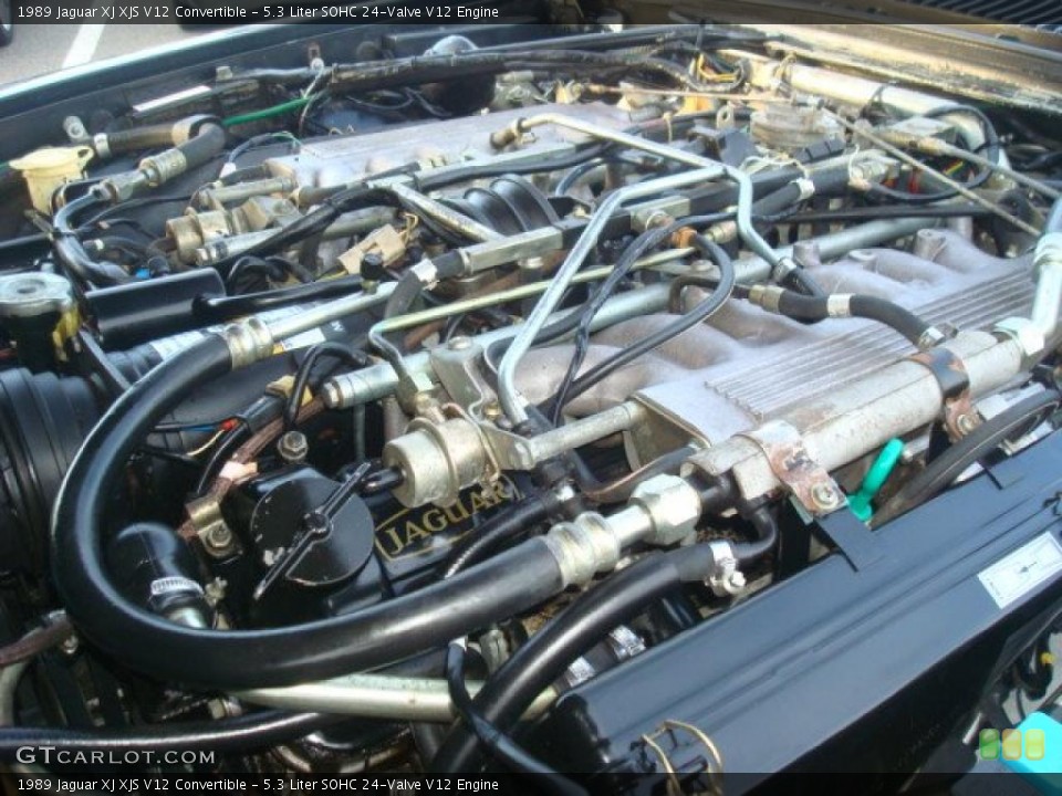 5.3 Liter SOHC 24-Valve V12 Engine for the 1989 Jaguar XJ #38596877