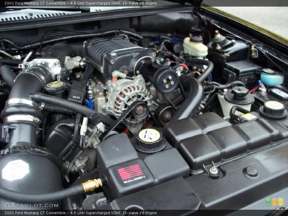4.6 Liter Supercharged SOHC 16-Valve V8 Engine for the 2001 Ford Mustang #38782069