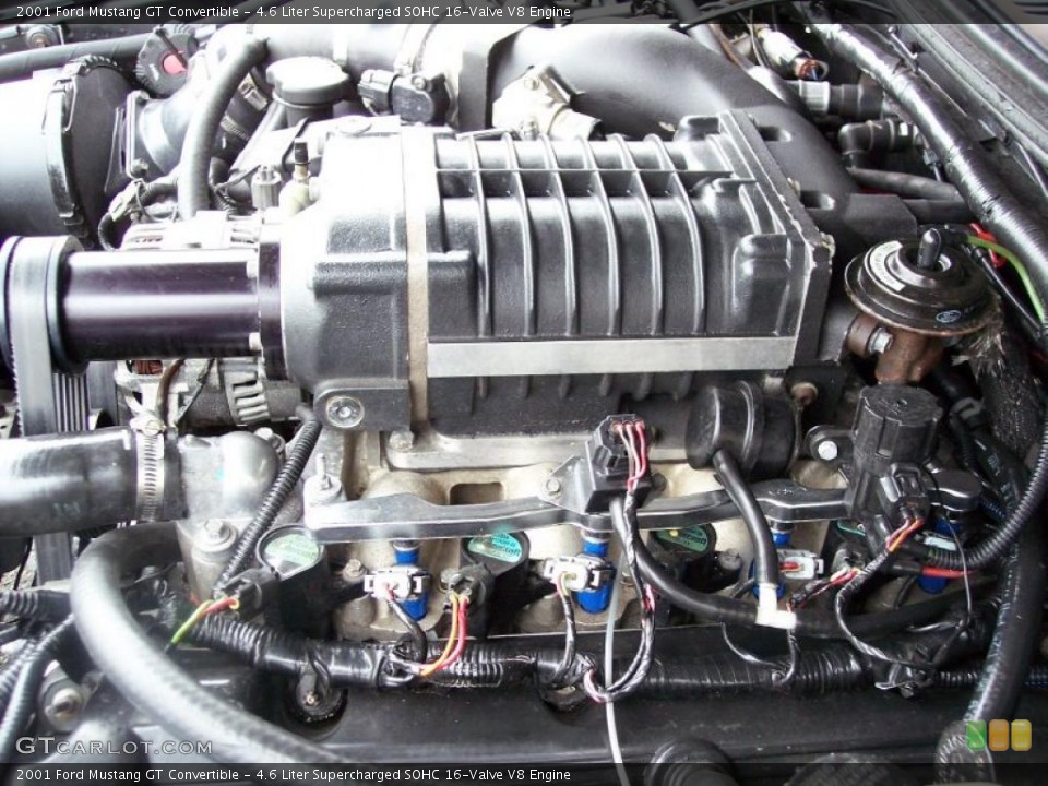 4.6 Liter Supercharged SOHC 16-Valve V8 Engine for the 2001 Ford Mustang #38782101