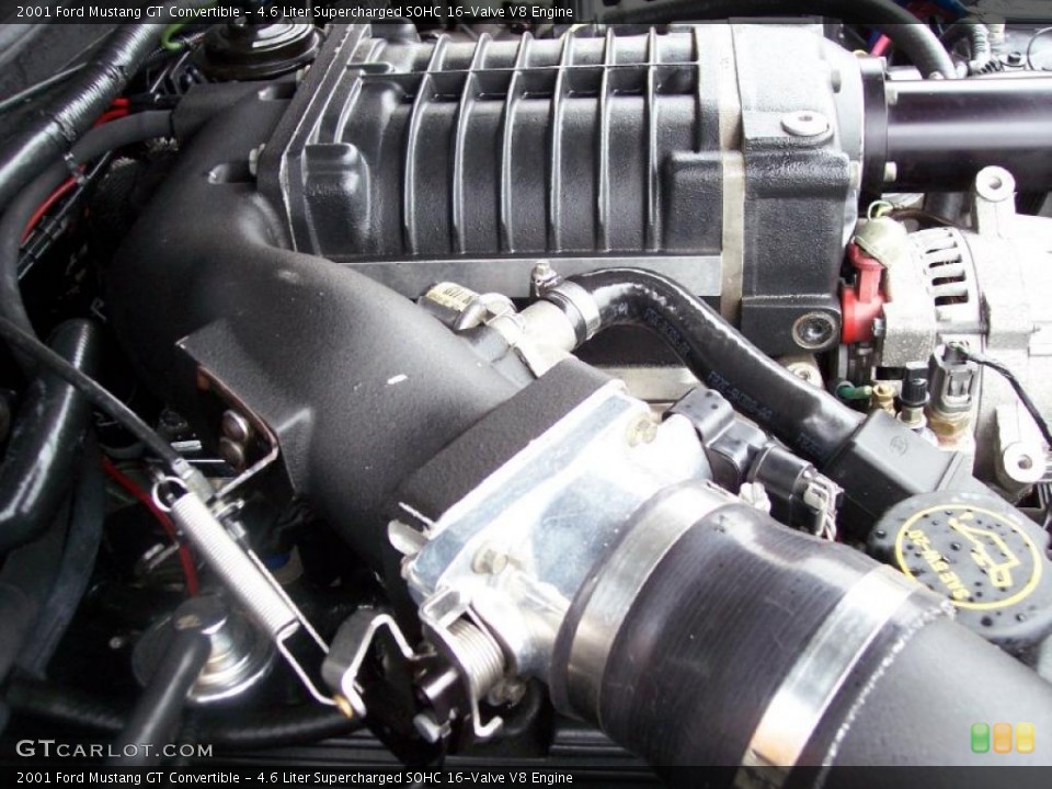 4.6 Liter Supercharged SOHC 16-Valve V8 Engine for the 2001 Ford Mustang #38782117