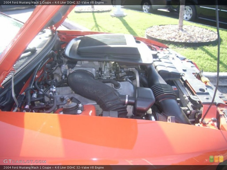 4.6 Liter DOHC 32-Valve V8 Engine for the 2004 Ford Mustang #39082673