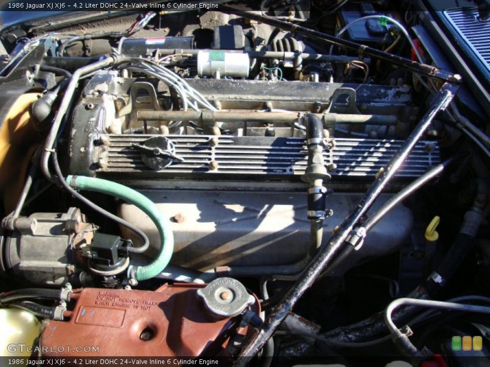 4.2 Liter DOHC 24-Valve Inline 6 Cylinder 1986 Jaguar XJ Engine