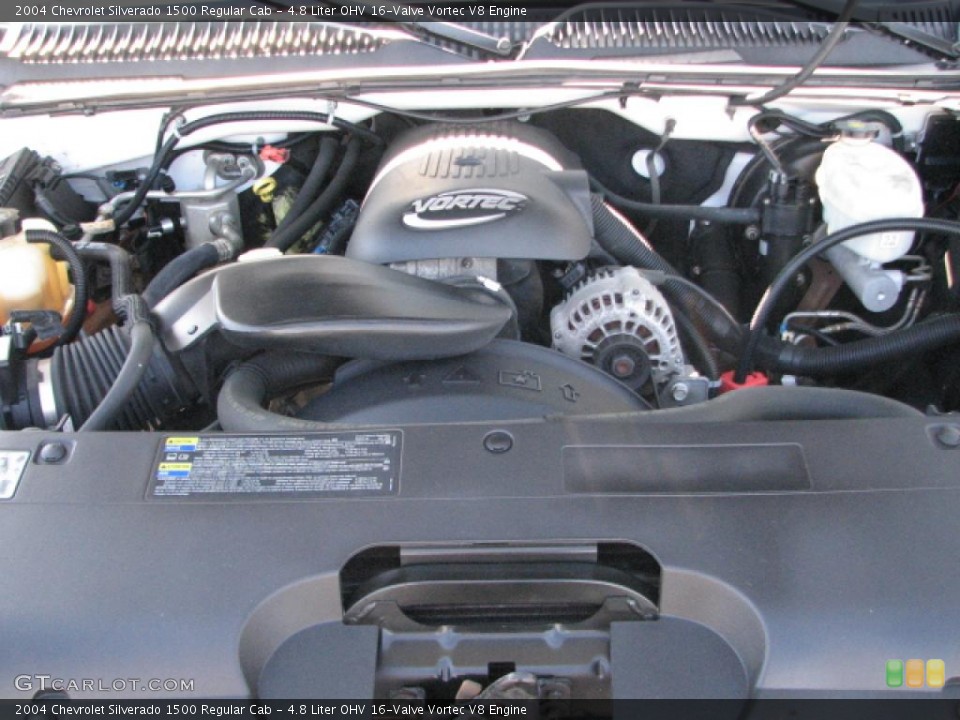 4.8 Liter OHV 16-Valve Vortec V8 Engine for the 2004 Chevrolet Silverado 1500 #39821822