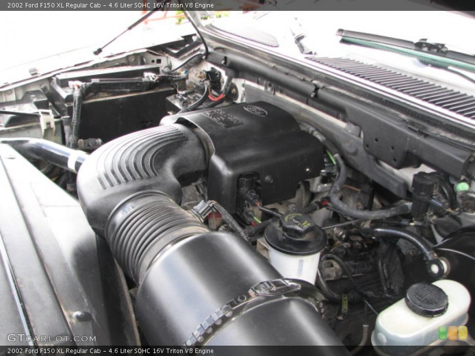 4.6 Liter SOHC 16V Triton V8 Engine for the 2002 Ford F150 #39882808