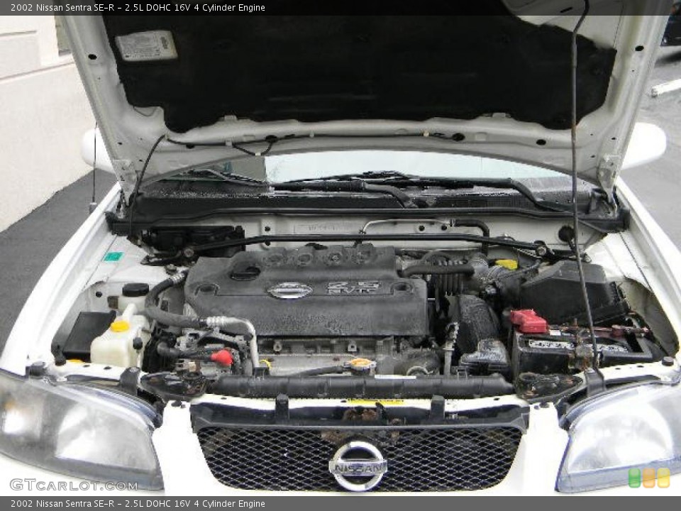 2.5L DOHC 16V 4 Cylinder Engine for the 2002 Nissan Sentra #40205848