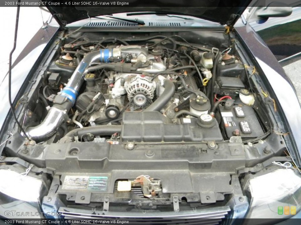 4.6 Liter SOHC 16-Valve V8 Engine for the 2003 Ford Mustang #40577581