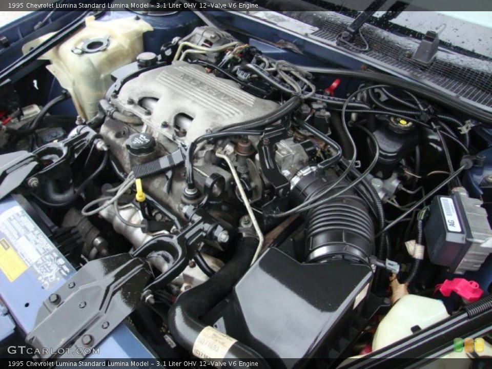 3.1 Liter OHV 12-Valve V6 Engine for the 1995 Chevrolet Lumina #40773779