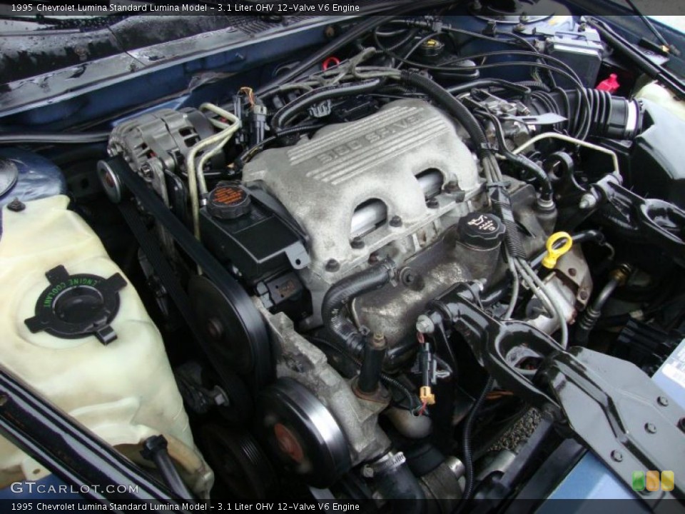 3.1 Liter OHV 12-Valve V6 Engine for the 1995 Chevrolet Lumina #40773803