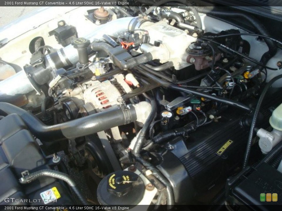 4.6 Liter SOHC 16-Valve V8 Engine for the 2001 Ford Mustang #40793363