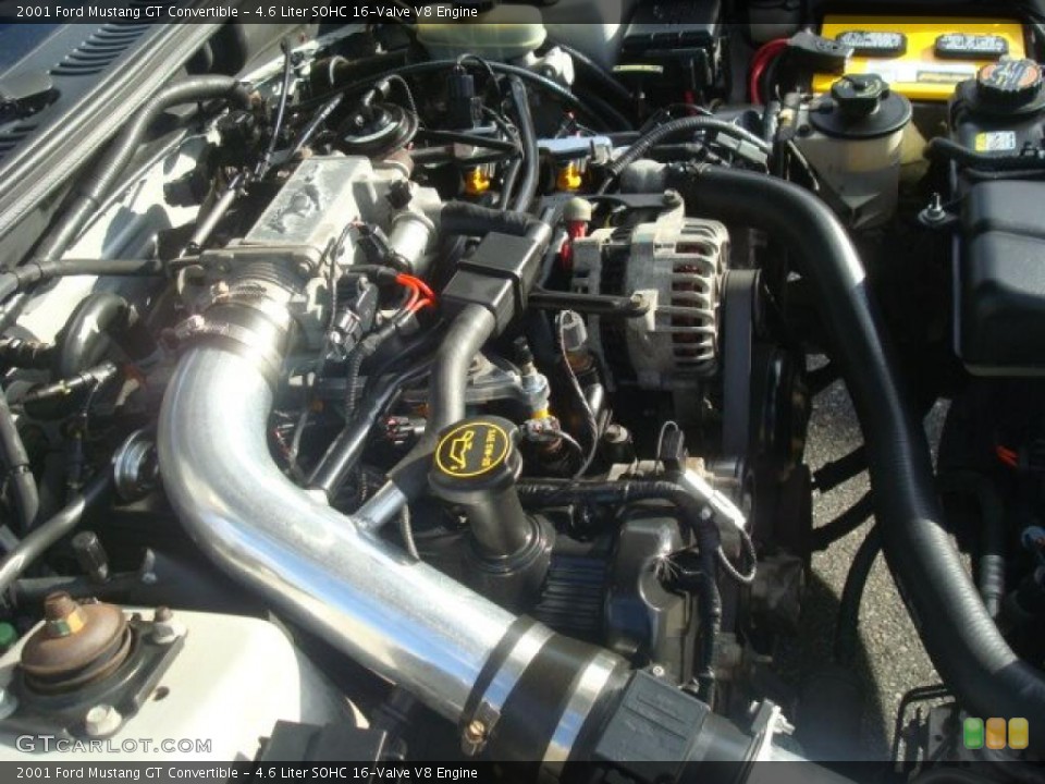 4.6 Liter SOHC 16-Valve V8 Engine for the 2001 Ford Mustang #40793383