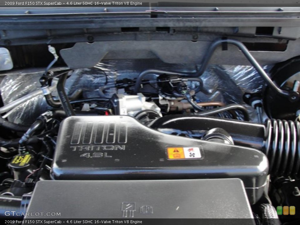 4.6 Liter SOHC 16-Valve Triton V8 Engine for the 2009 Ford F150 #40799783
