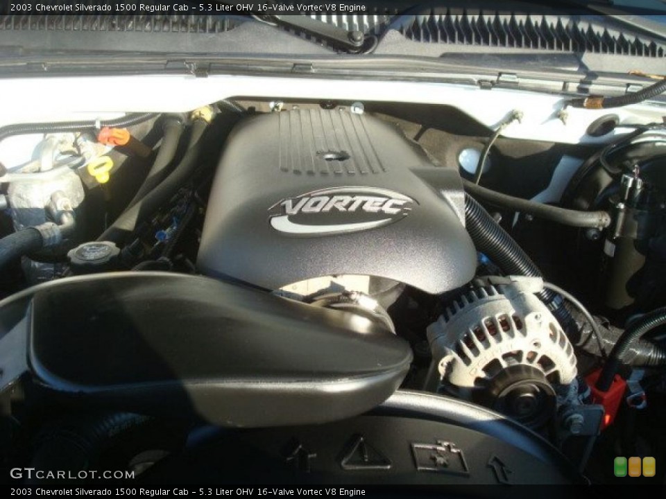 5.3 Liter OHV 16-Valve Vortec V8 Engine for the 2003 Chevrolet Silverado 1500 #41045637