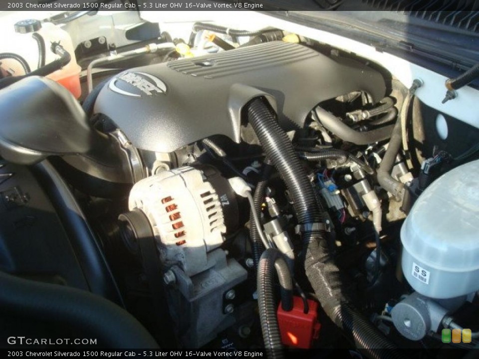 5.3 Liter OHV 16-Valve Vortec V8 Engine for the 2003 Chevrolet Silverado 1500 #41045657