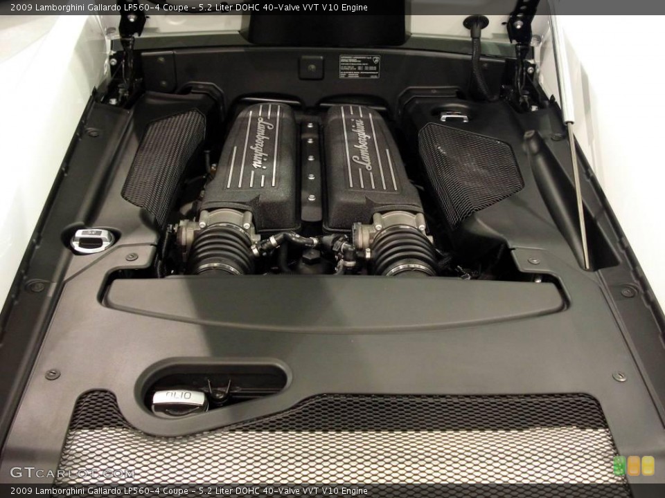 5.2 Liter DOHC 40-Valve VVT V10 Engine for the 2009 Lamborghini Gallardo #4110282