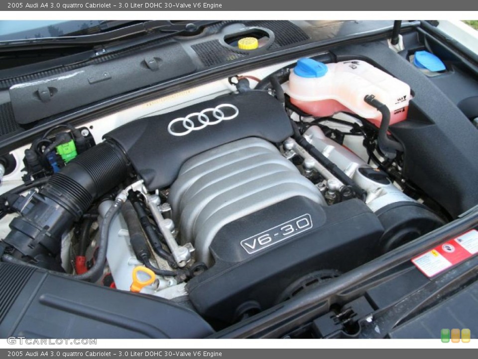 3.0 Liter DOHC 30-Valve V6 Engine for the 2005 Audi A4 #41198449