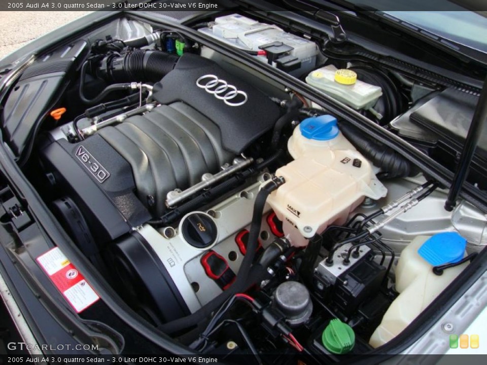 3.0 Liter DOHC 30-Valve V6 Engine for the 2005 Audi A4 #41472455