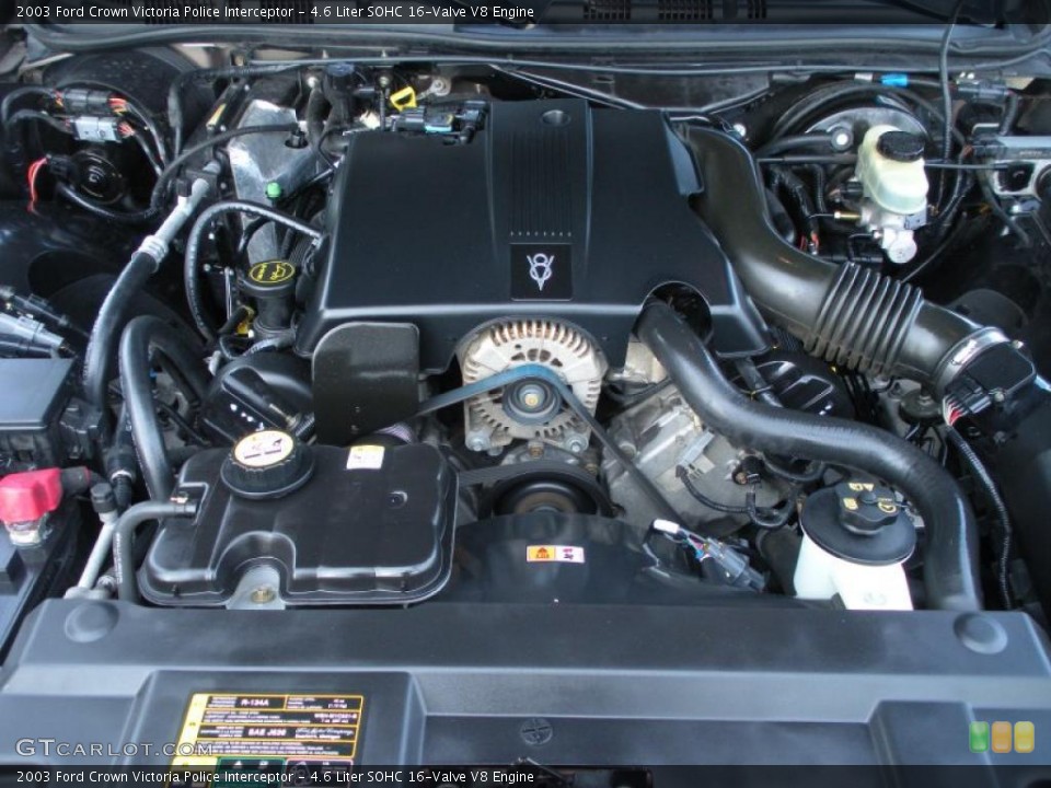 4.6 Liter SOHC 16-Valve V8 Engine for the 2003 Ford Crown Victoria #42200507