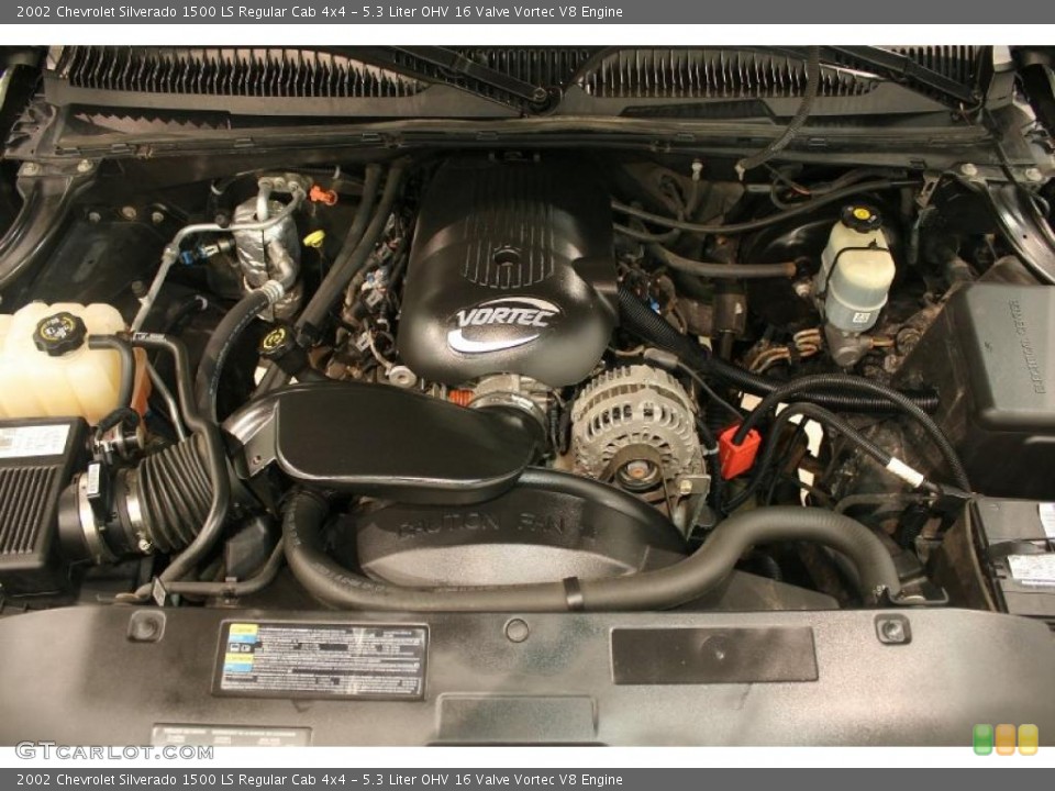 5.3 Liter OHV 16 Valve Vortec V8 Engine for the 2002 Chevrolet Silverado 1500 #42336775