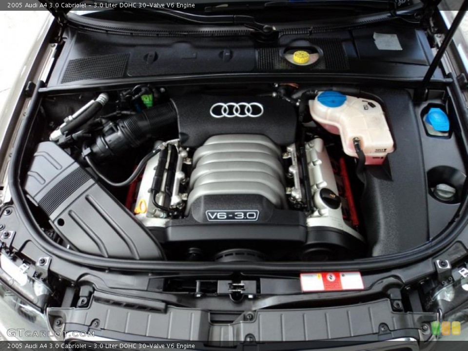 3.0 Liter DOHC 30-Valve V6 Engine for the 2005 Audi A4 #42526557