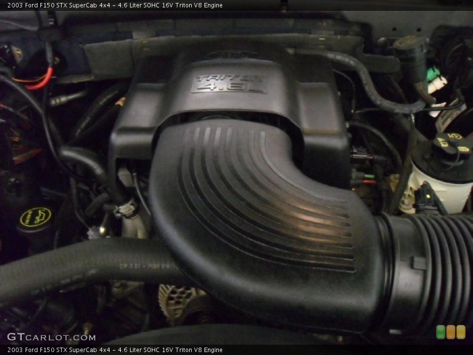 4.6 Liter SOHC 16V Triton V8 Engine for the 2003 Ford F150 #42945699