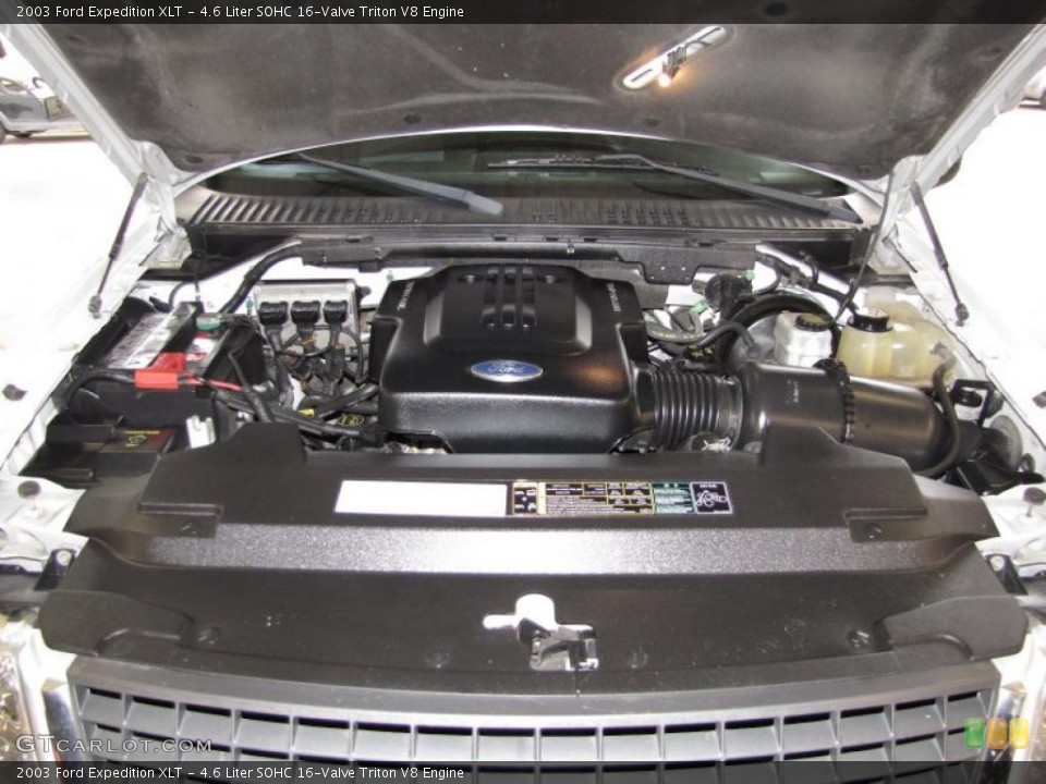 4.6 Liter SOHC 16-Valve Triton V8 Engine for the 2003 Ford Expedition #43139063