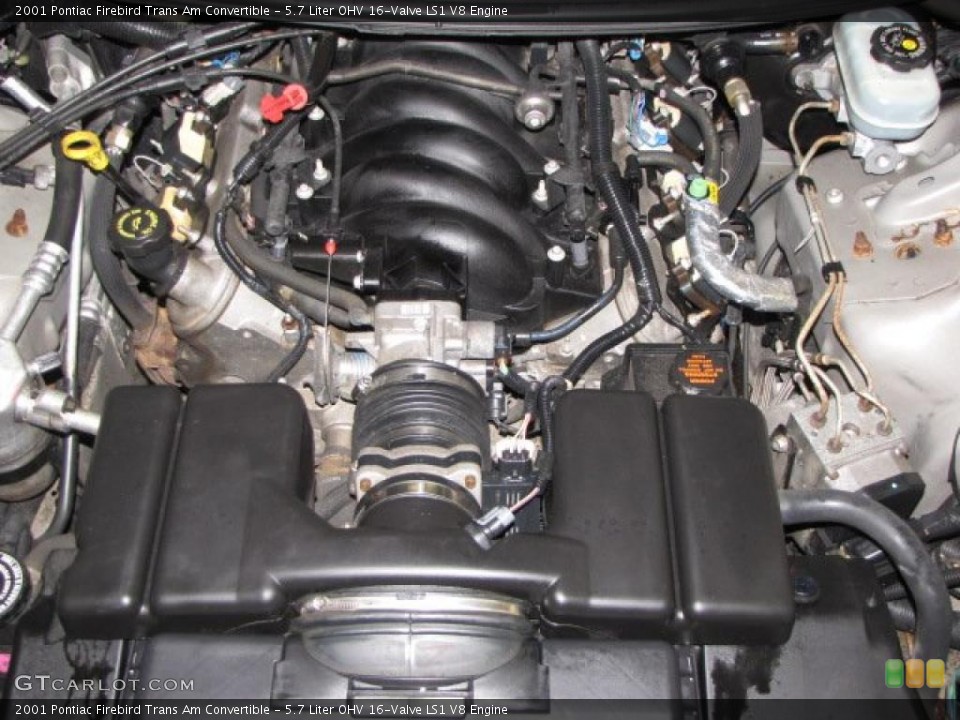 5.7 Liter OHV 16-Valve LS1 V8 2001 Pontiac Firebird Engine