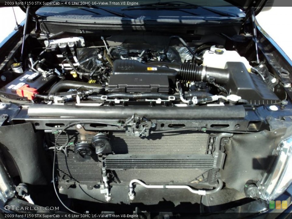 4.6 Liter SOHC 16-Valve Triton V8 Engine for the 2009 Ford F150 #43428213